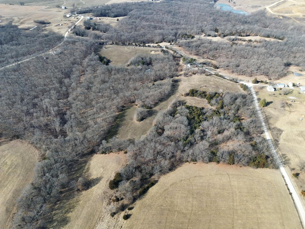 Picture 11