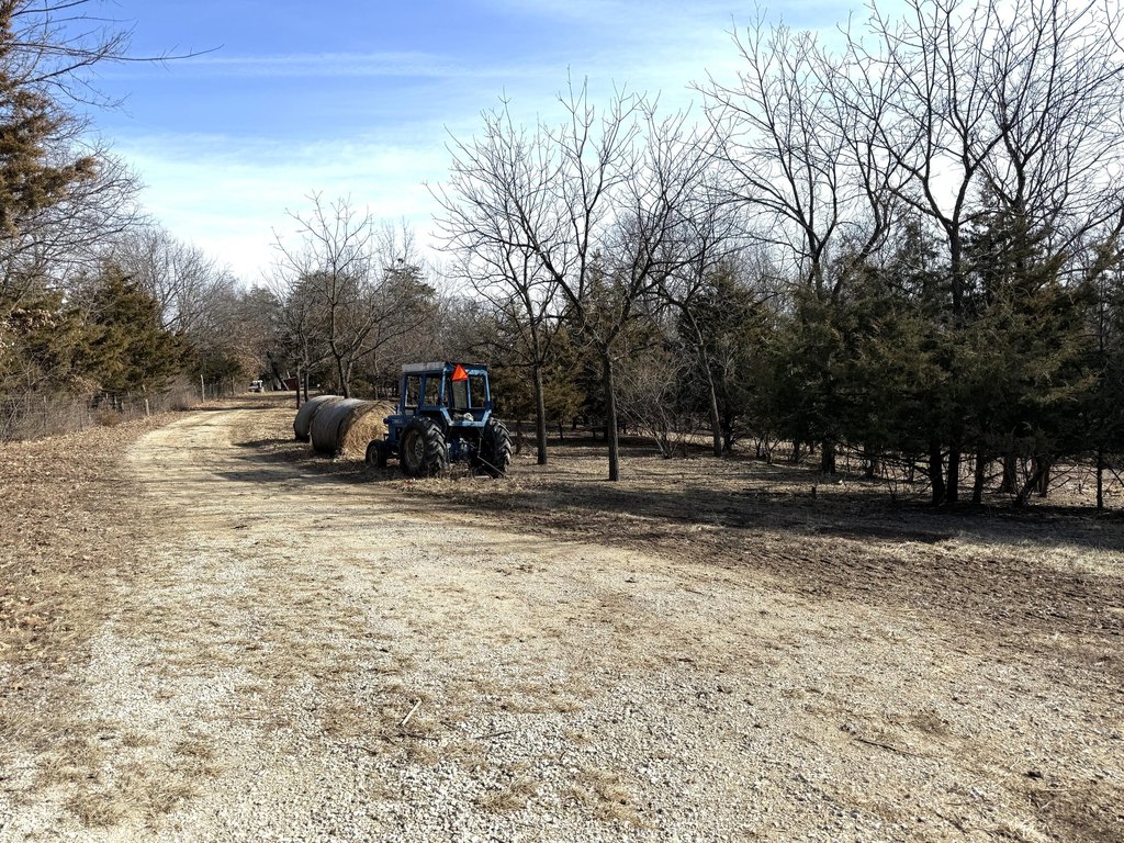 Picture 19