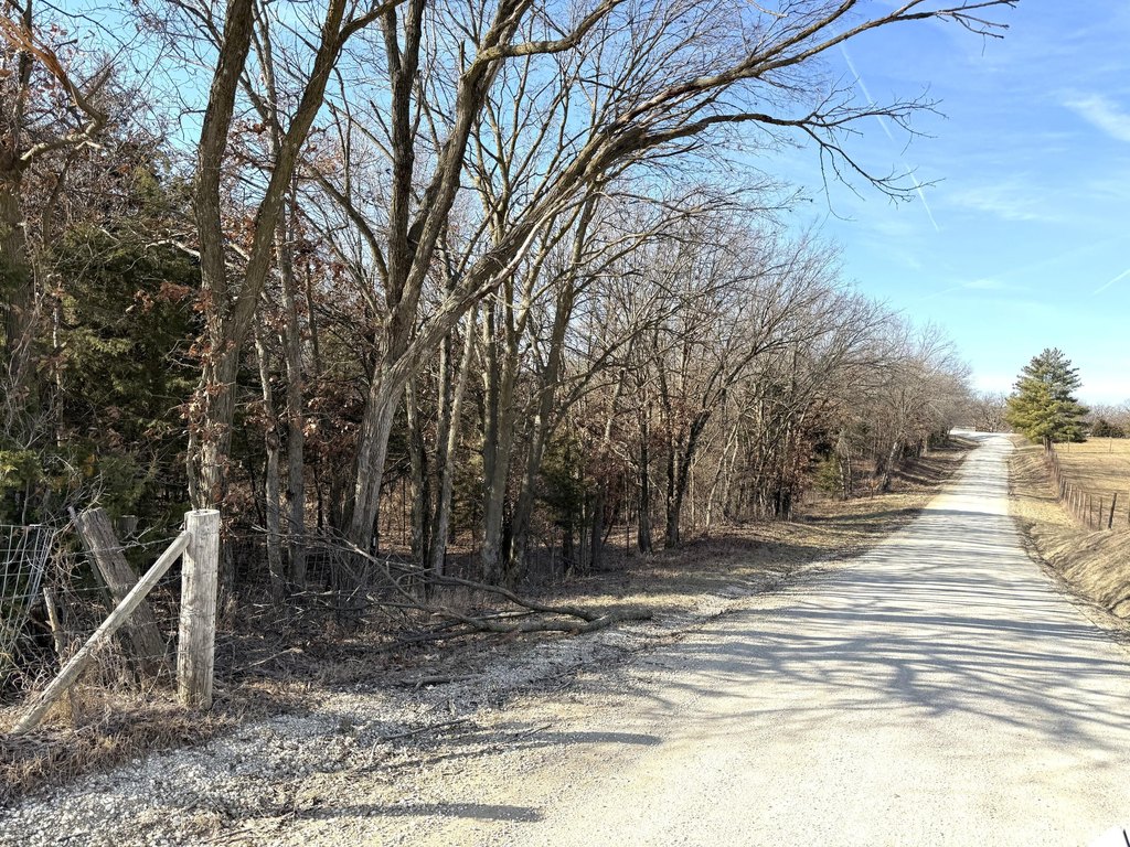 Picture 15
