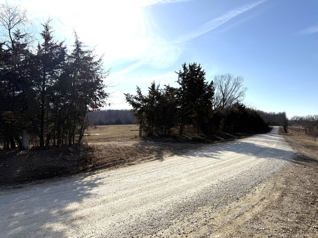 Picture 18