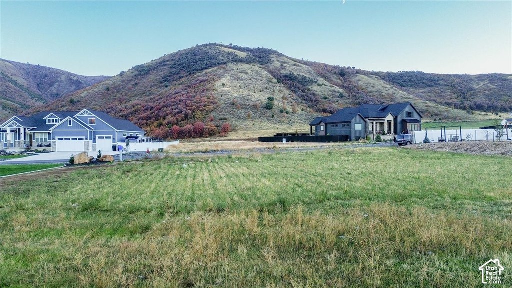 Picture 6