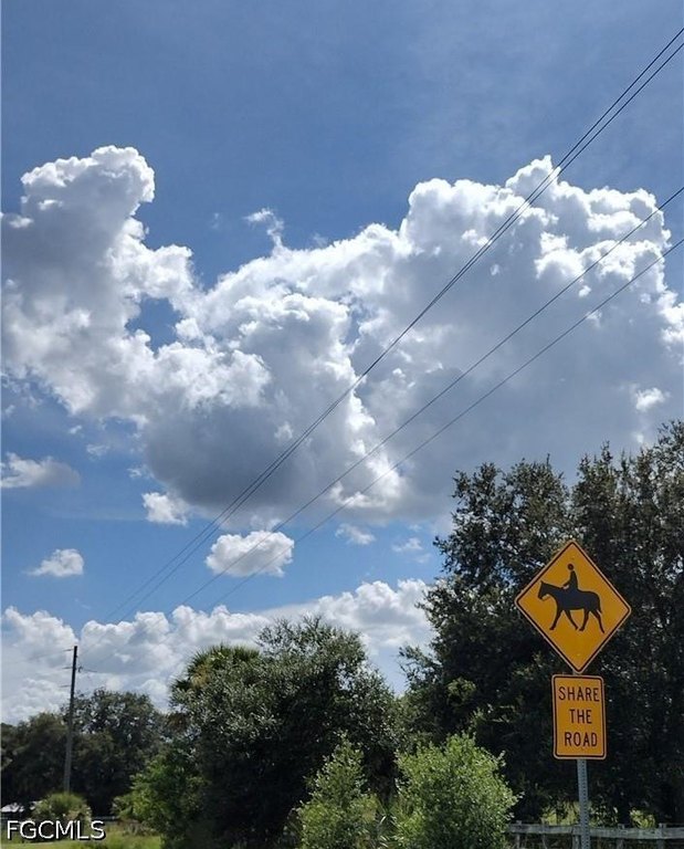 Picture 20
