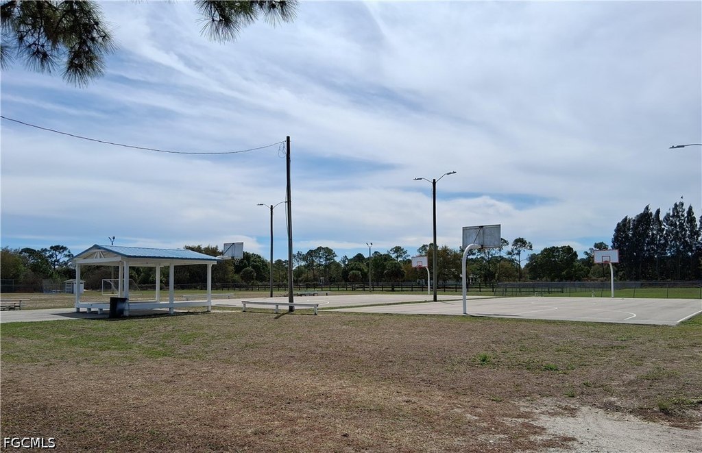 Picture 19