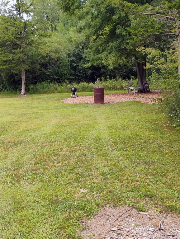 Picture 5
