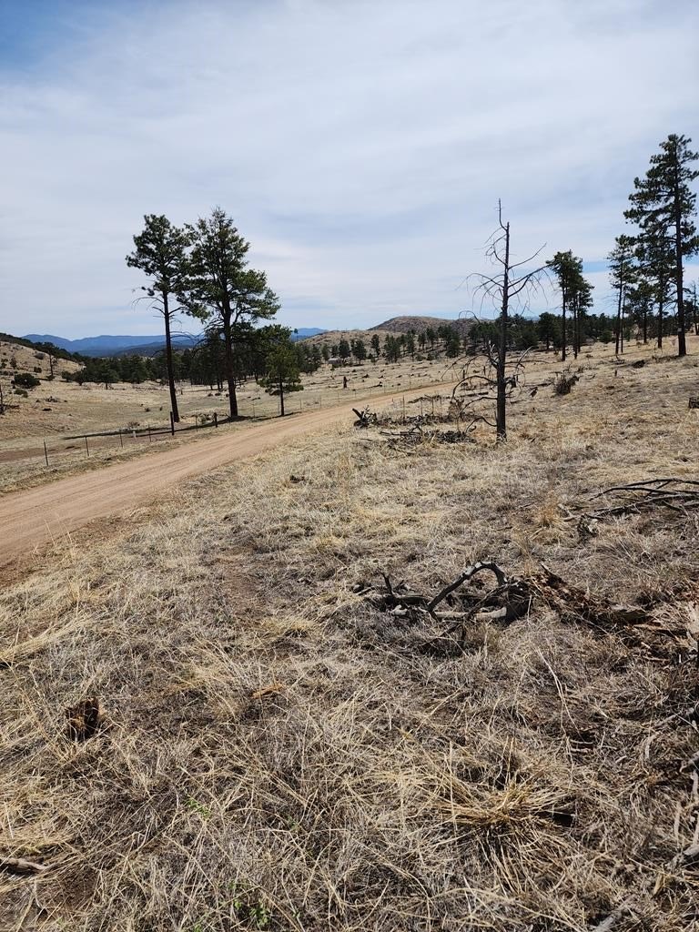 6.7 Acres Ready to Build
