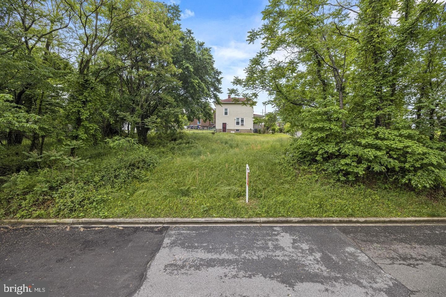 Two Lots in Randle Heights