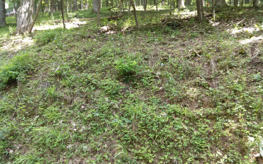 Picture 12