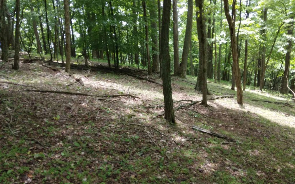 Picture 4