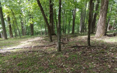 Ellijay, GA Vacant Lot