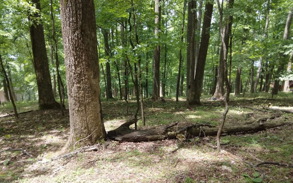 Picture 15