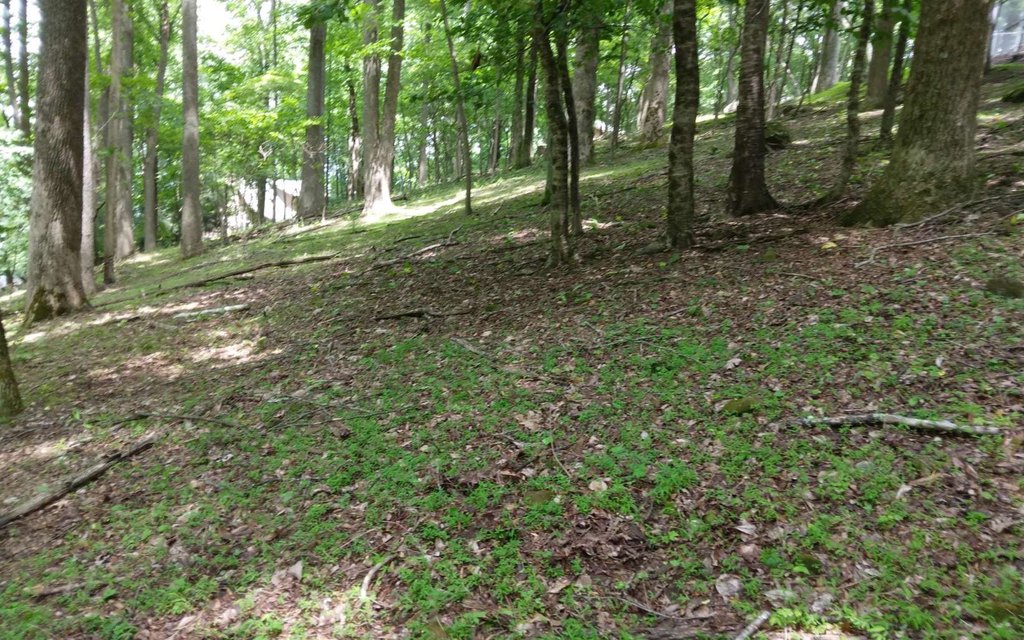 Picture 14