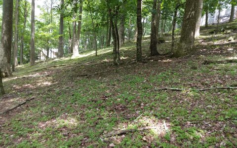 Ellijay, GA Vacant Lot