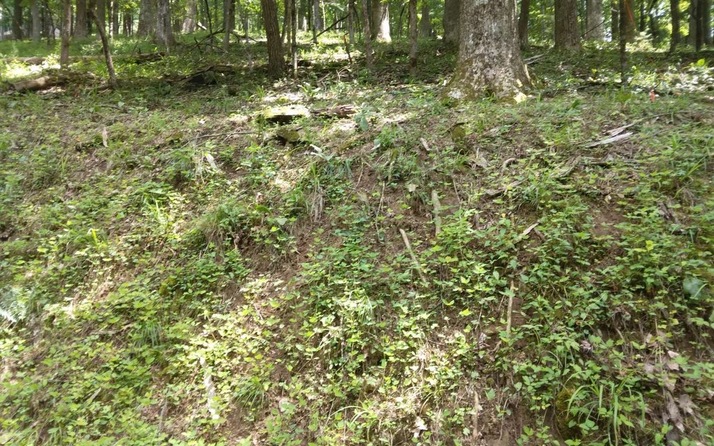 Picture 11