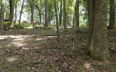 Ellijay, GA Vacant Lot