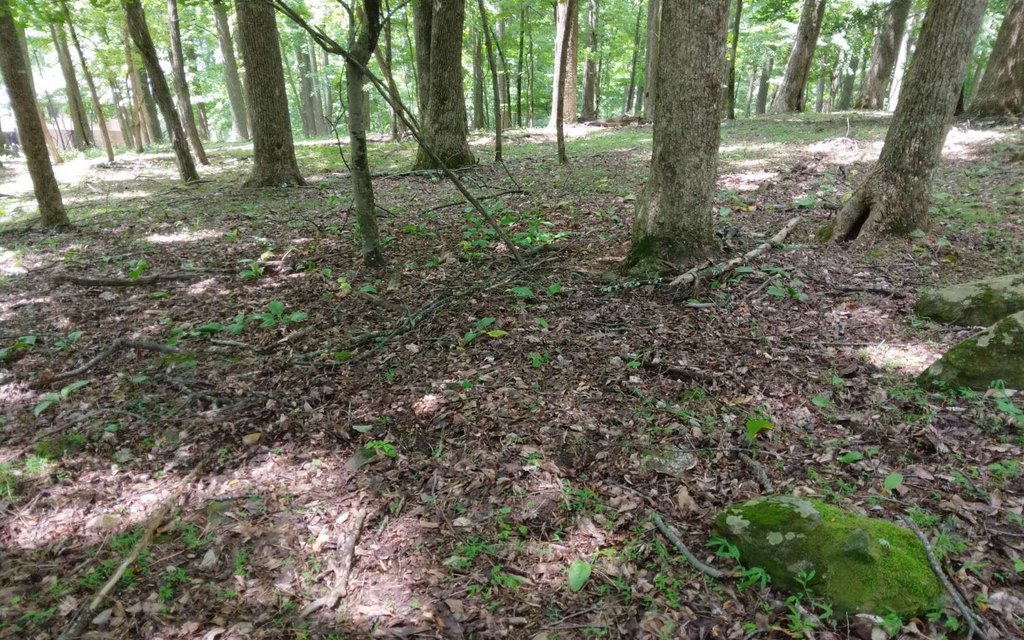 Picture 10