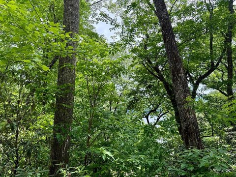 Lake Glenville Access Homesite