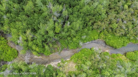 Land with Trail Creek Frontage