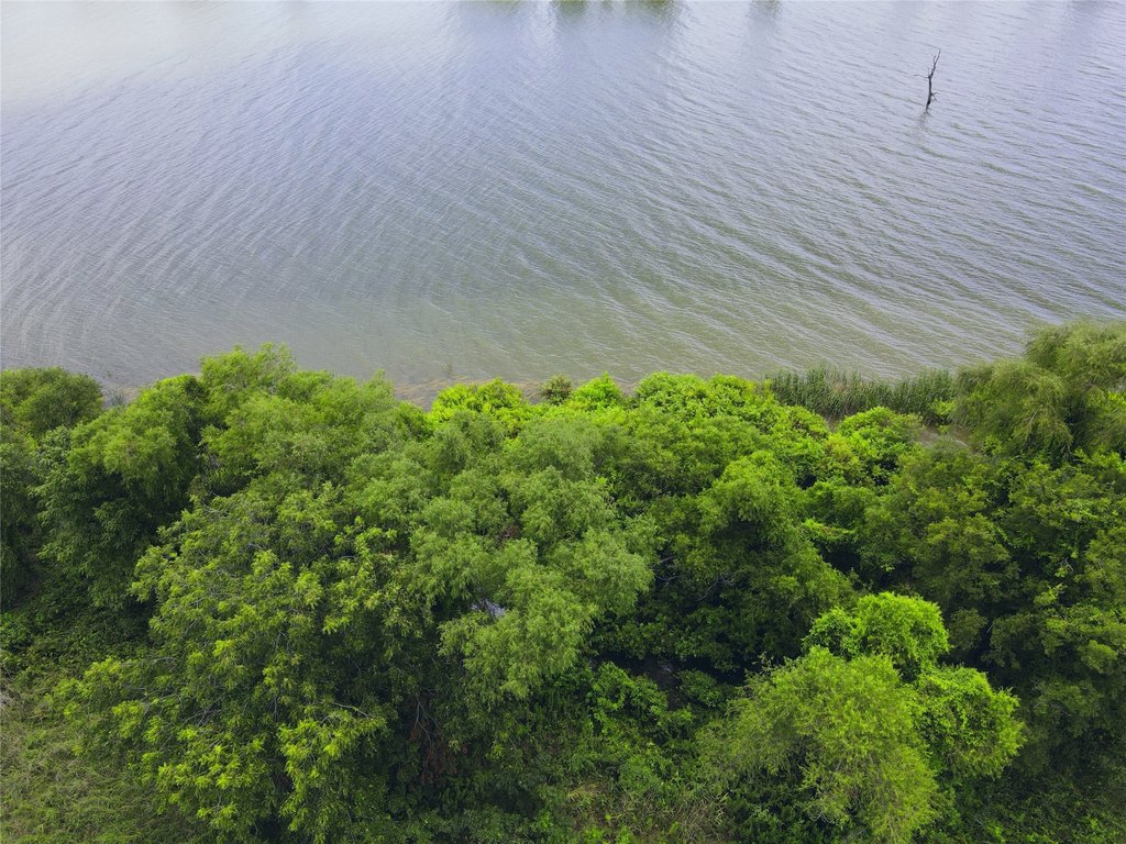 Picture 23