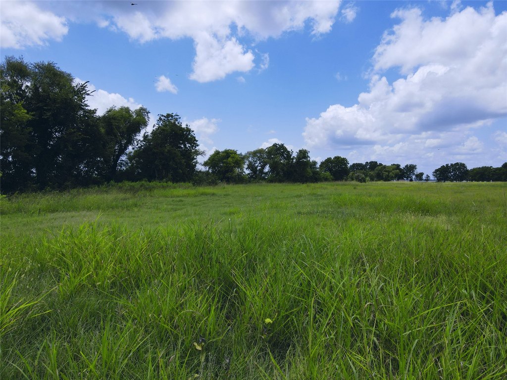 Picture 31