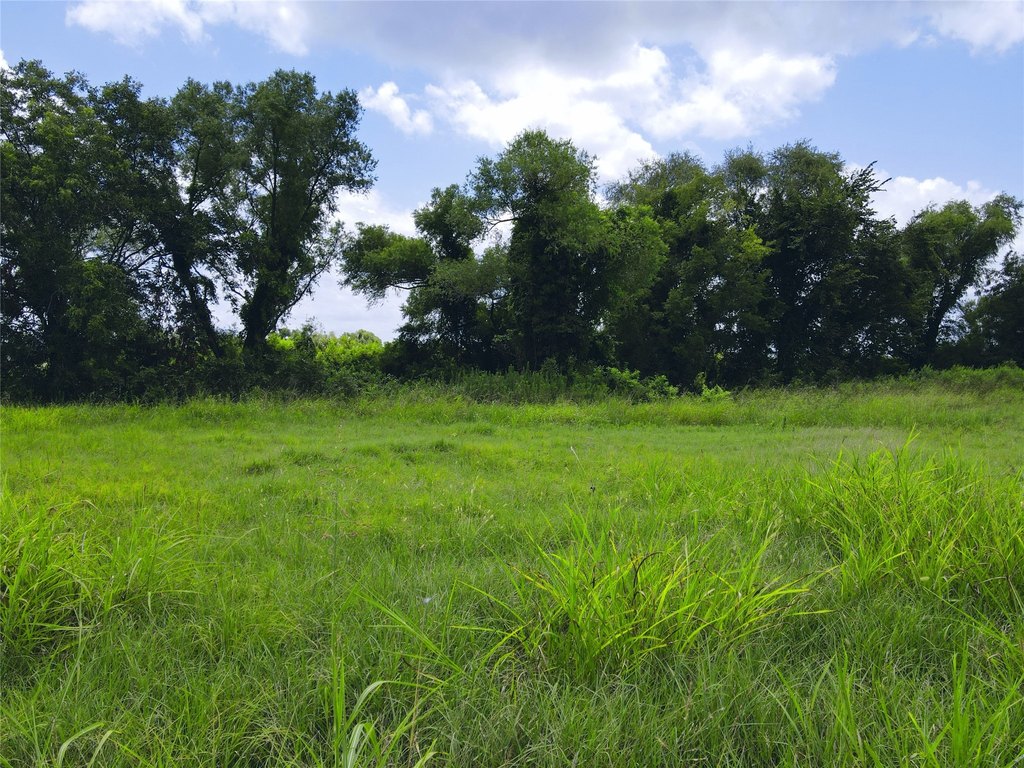 Picture 15