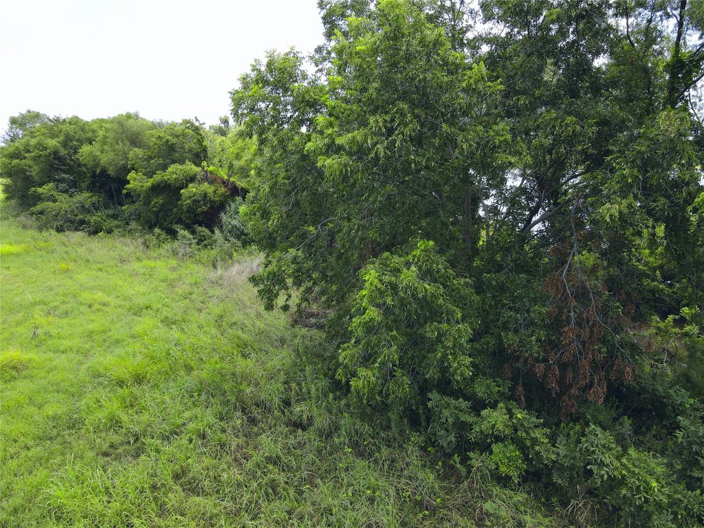 Picture 22