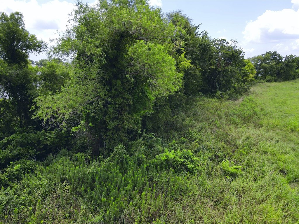 Picture 28
