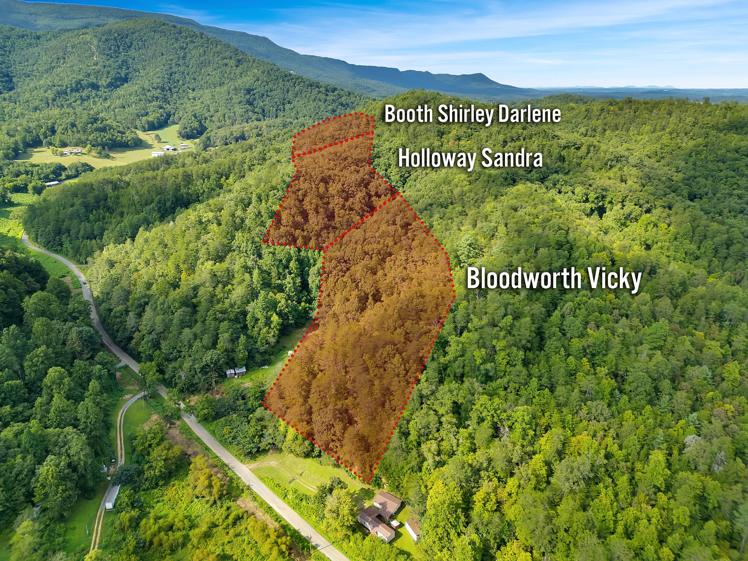 Unrestricted Acreage in Cosby, TN
