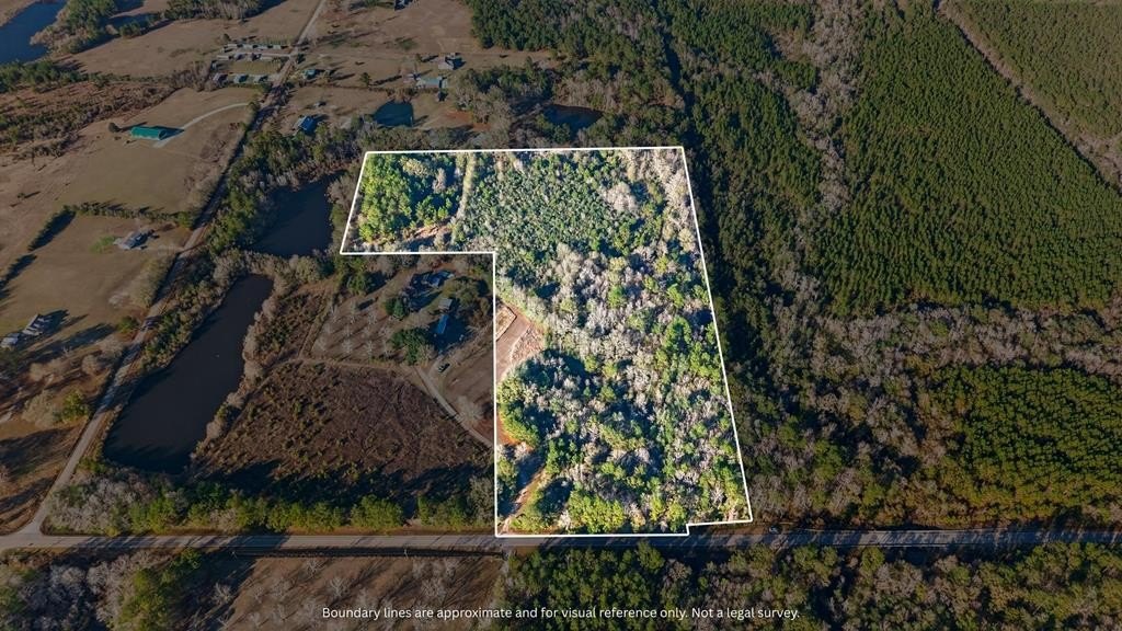 Secluded Wooded Tract Near I-59