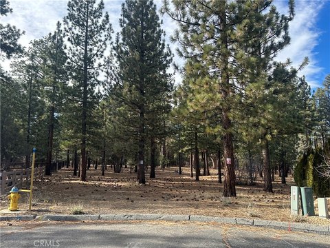 LAND - Big Bear City, CA