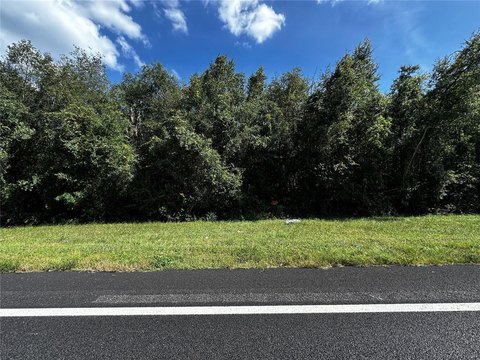 Agricultural Land with Road Frontage