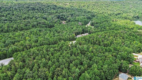 LAND - CHELSEA, AL