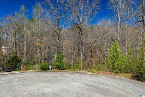 LAND/LOTS, MOUNT OLIVE, AL