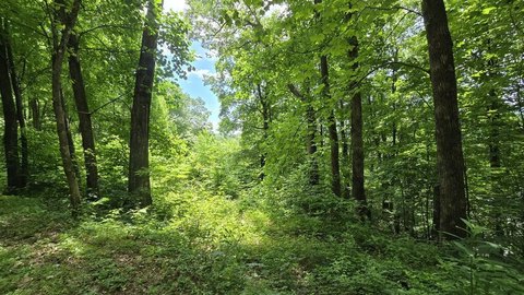 Vacant Lot, Hayesville, NC