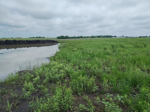 Improved Rural Tract with Pond