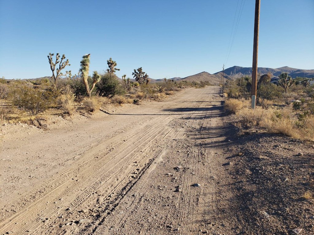 Picture 21
