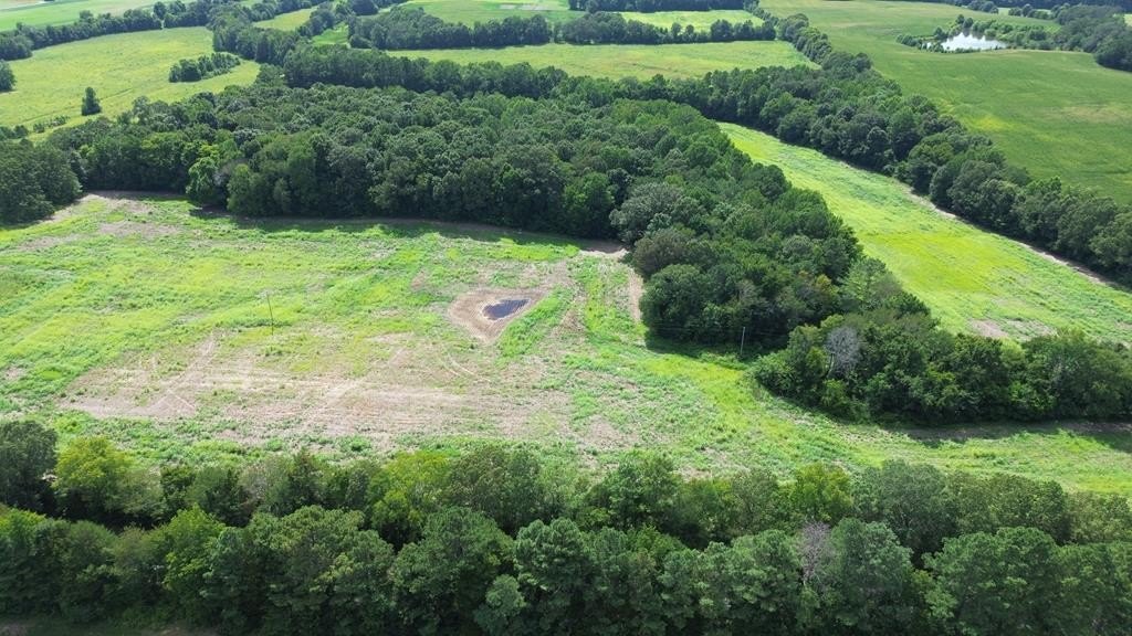 45.5 Acres in Big Sandy
