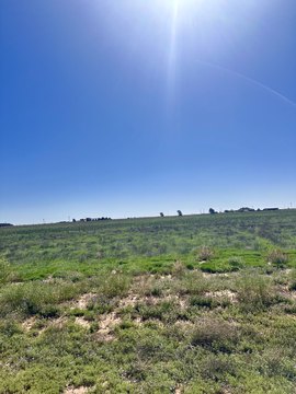 Levelland, TX Land Opportunity