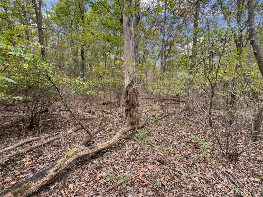 Picture 17