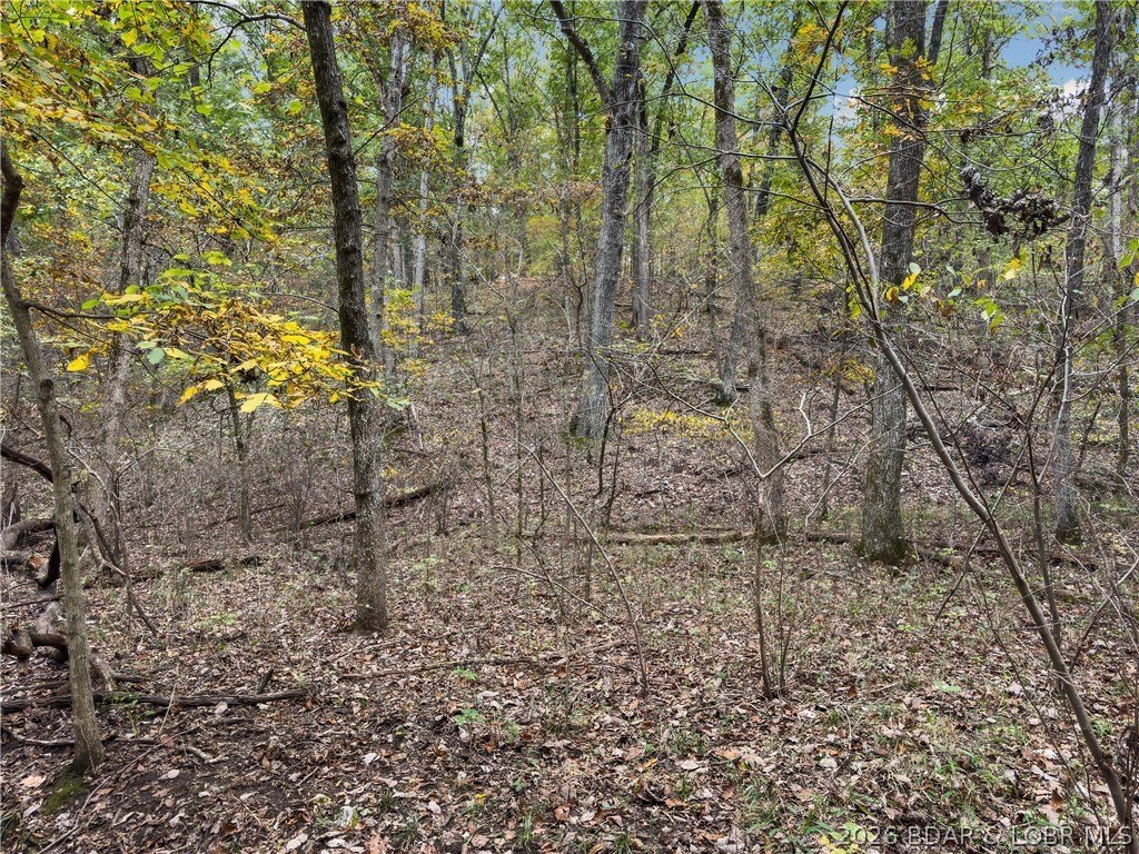Picture 14