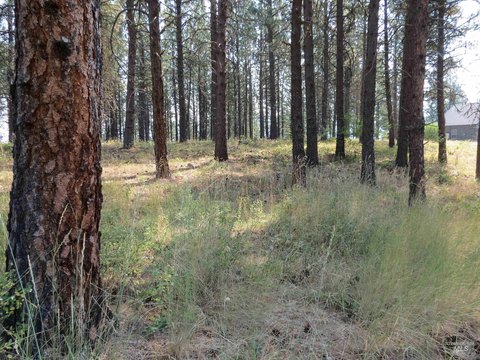 Land, Garden Valley, ID