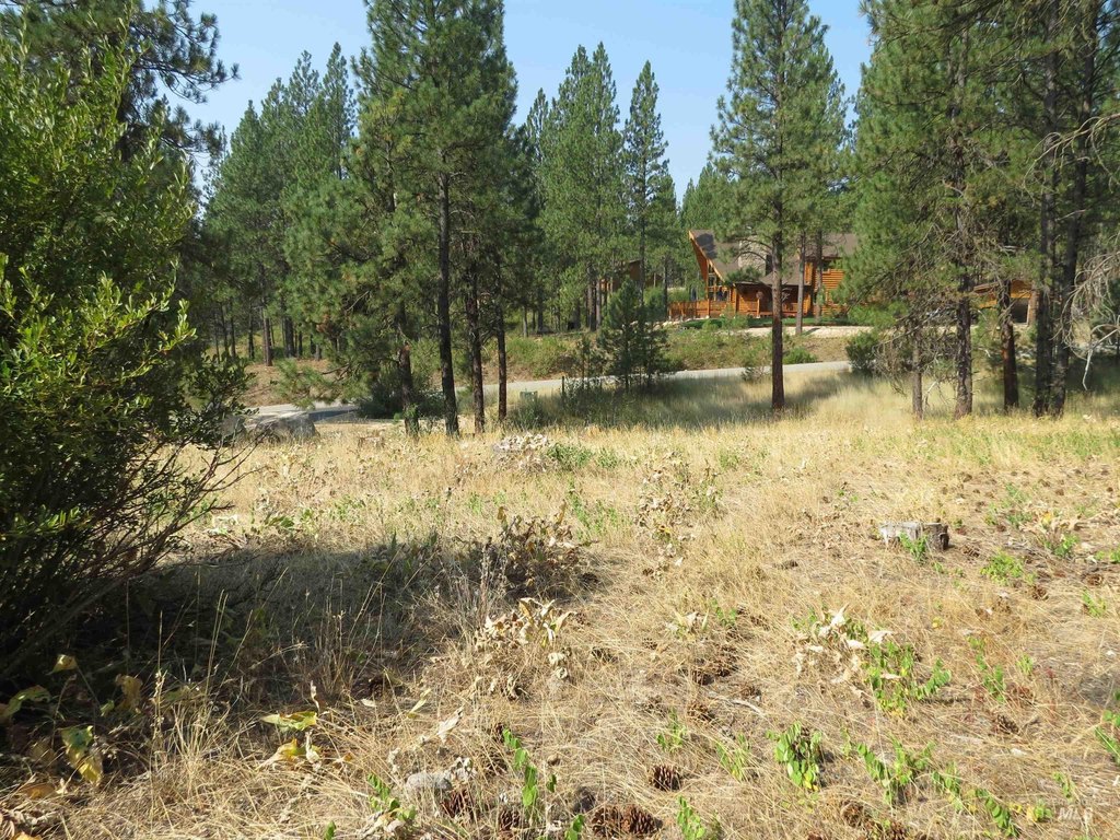 Picture 13