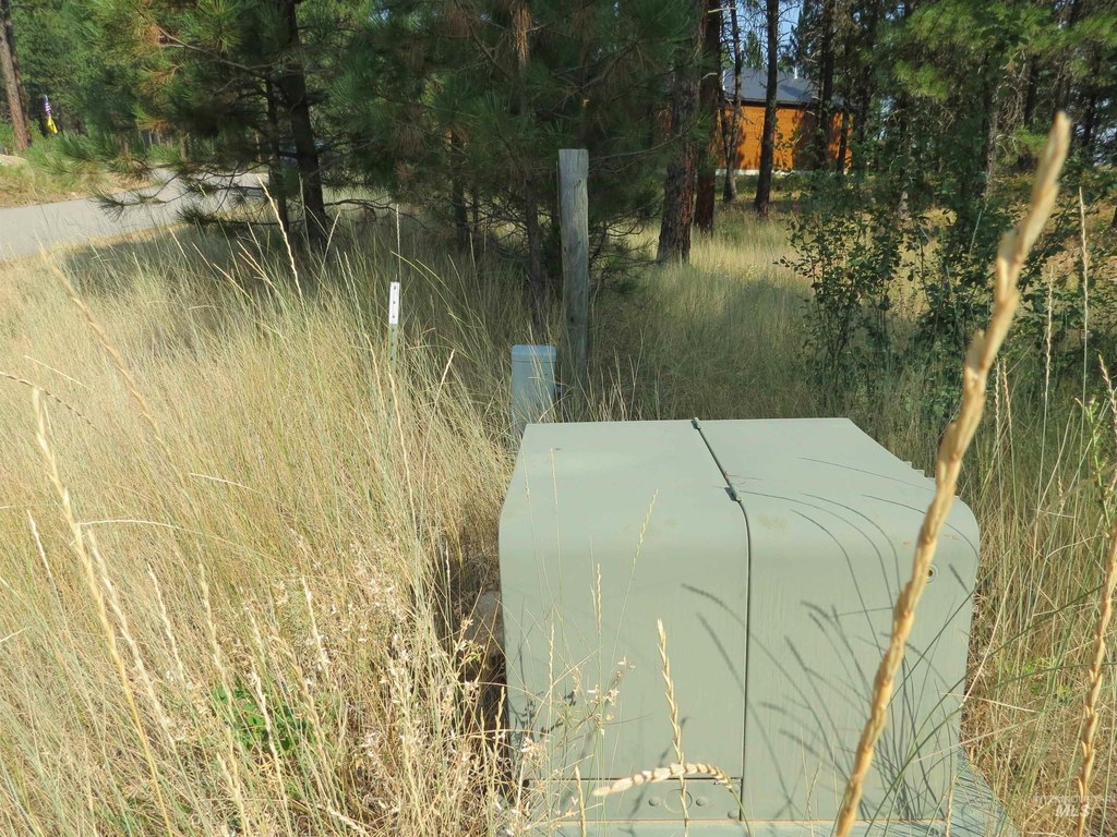 Picture 19