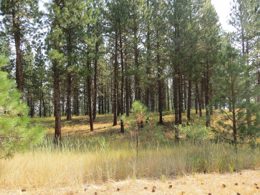 Picture 23