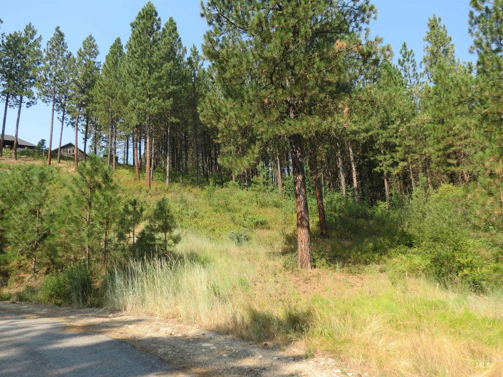Picture 24