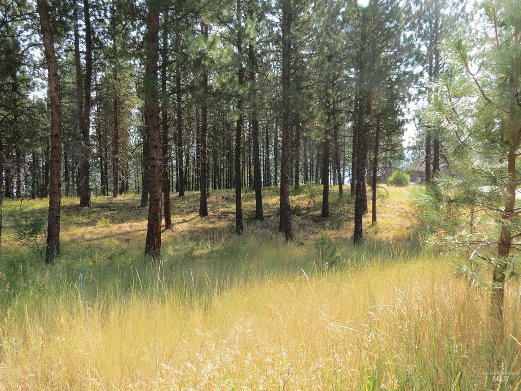 Picture 26