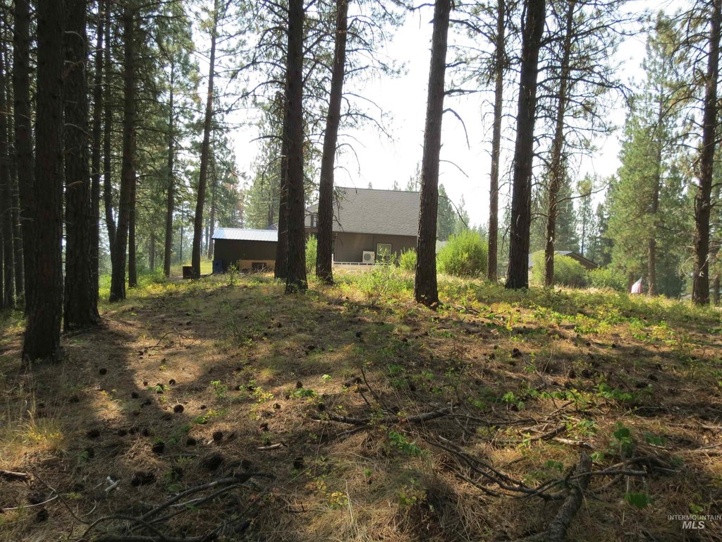 Picture 9
