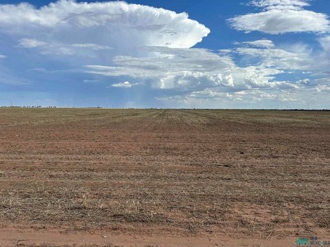 Land, Clovis, NM