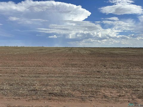 Land on East 21st Street