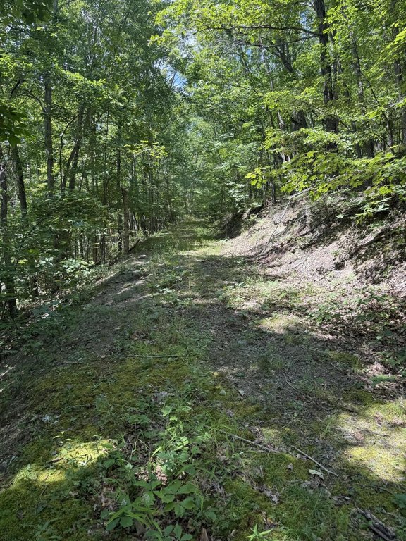 Picture 8