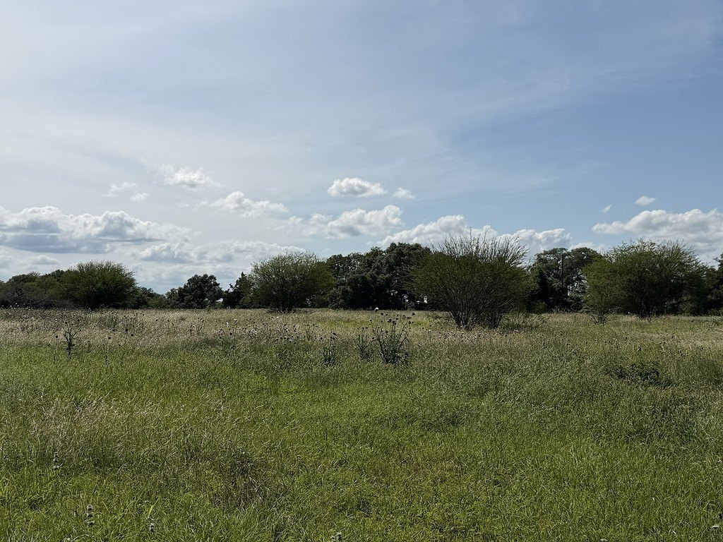 Picture 14